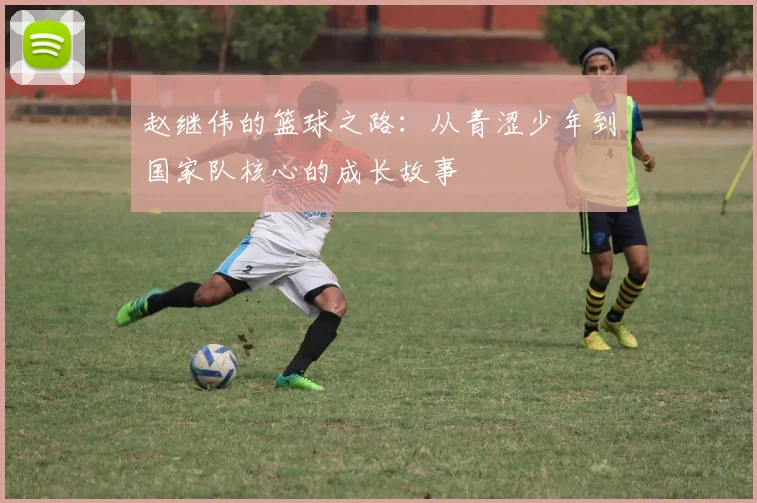 赵继伟的篮球之路：从青涩少年到国家队核心的成长故事