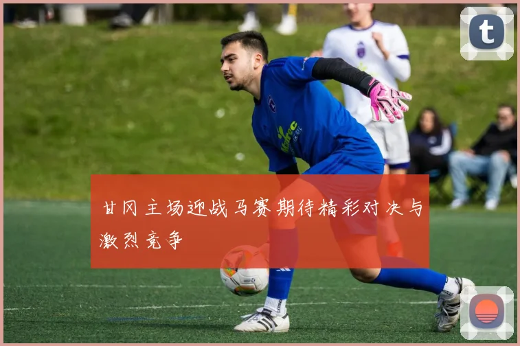 甘冈主场迎战马赛期待精彩对决与激烈竞争