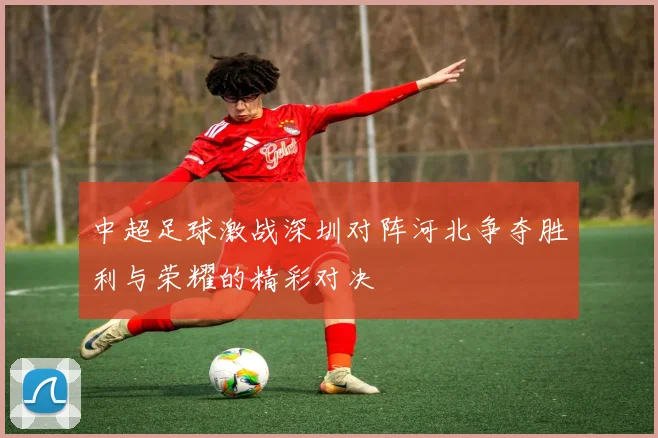 中超足球激战深圳对阵河北争夺胜利与荣耀的精彩对决