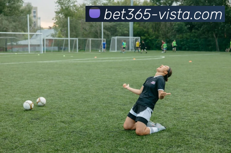 bet365体育平台生态图