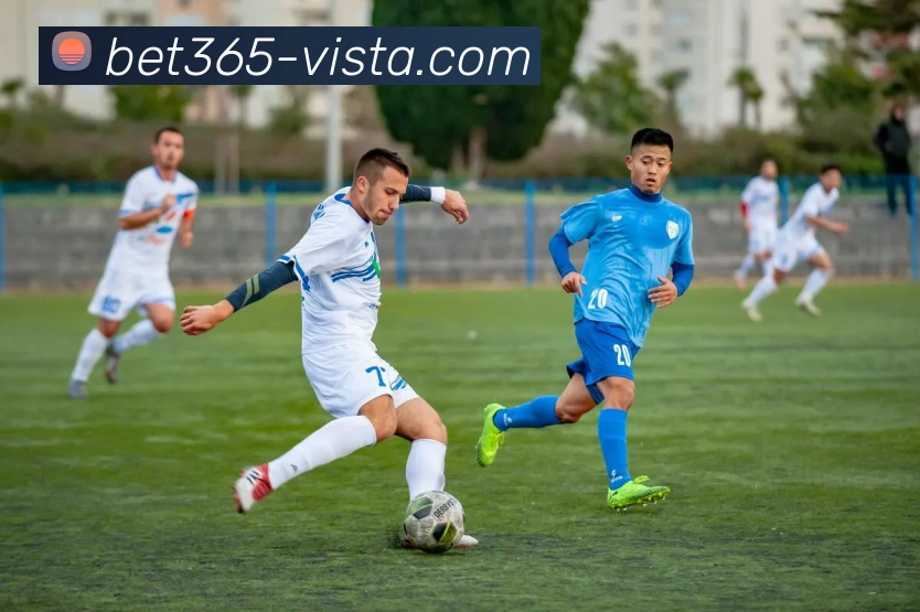 bet365体育APP 封面图