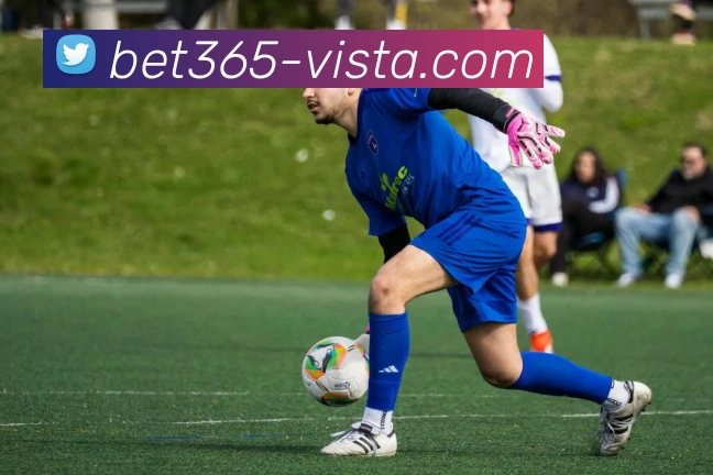 bet365体育全站App